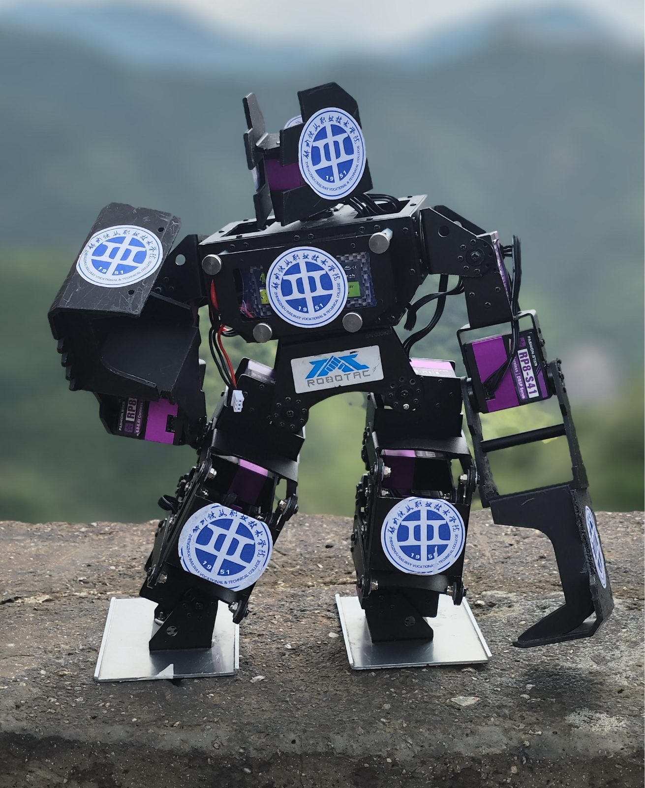 格斗机器人再展硬核实力，助力高校团队荣登冠军